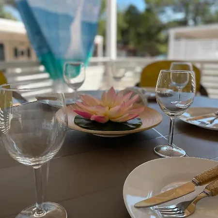 Dalmacia Mobile Homes And Caravans At The Privlaka (Zadar)